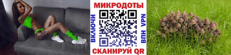 даркнет сайт Котово Галлюциногенные грибы мицелий
